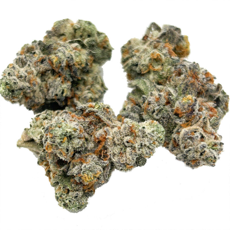 Gelato D-Lux (Slurty3) – Image 4