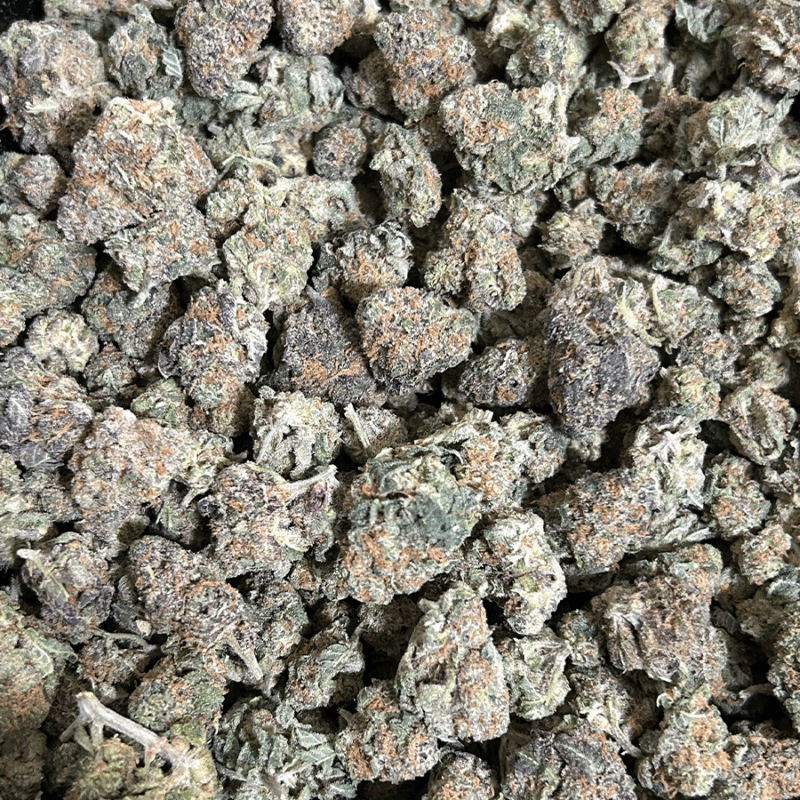 Mimosa Punch -PF
