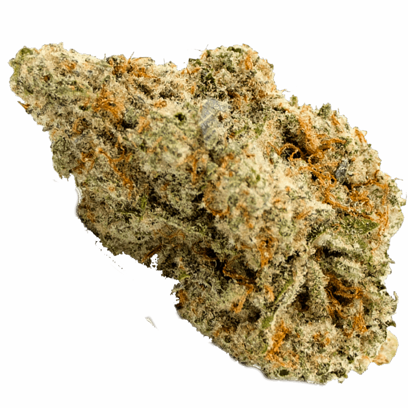 Gorilla Cookies
