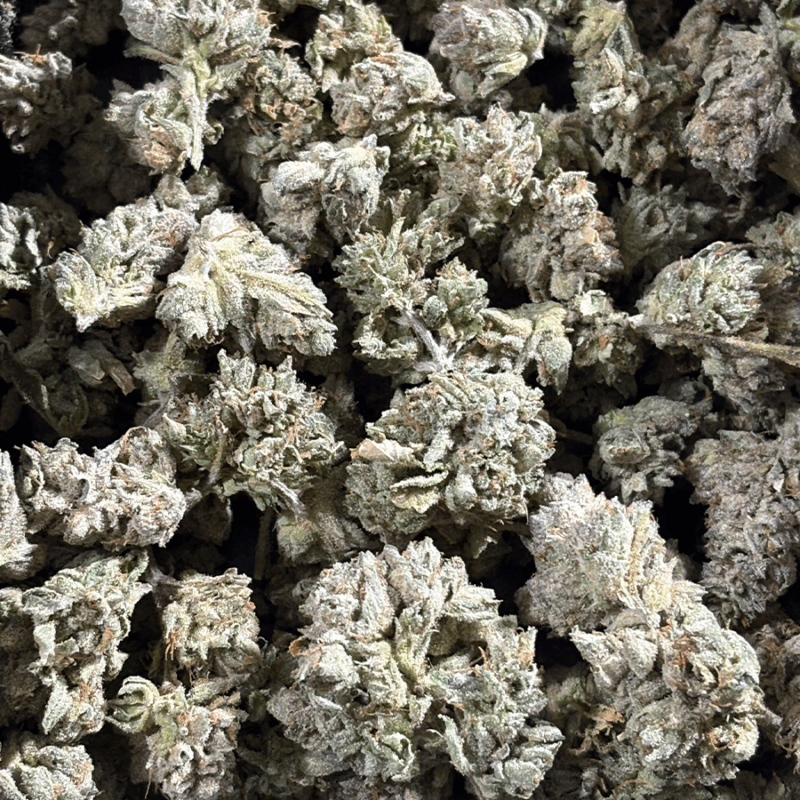 Blue Dream -PF