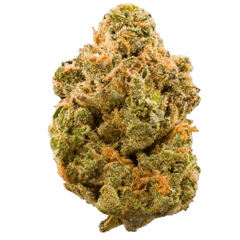 Tropical Punch