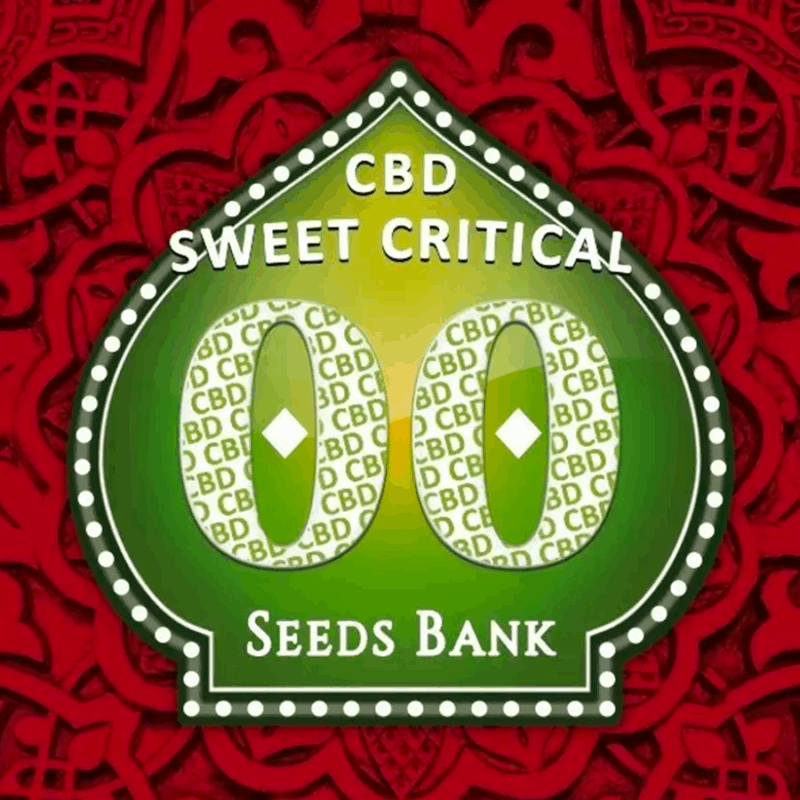 CBD Sweet Critical **Disponible août**