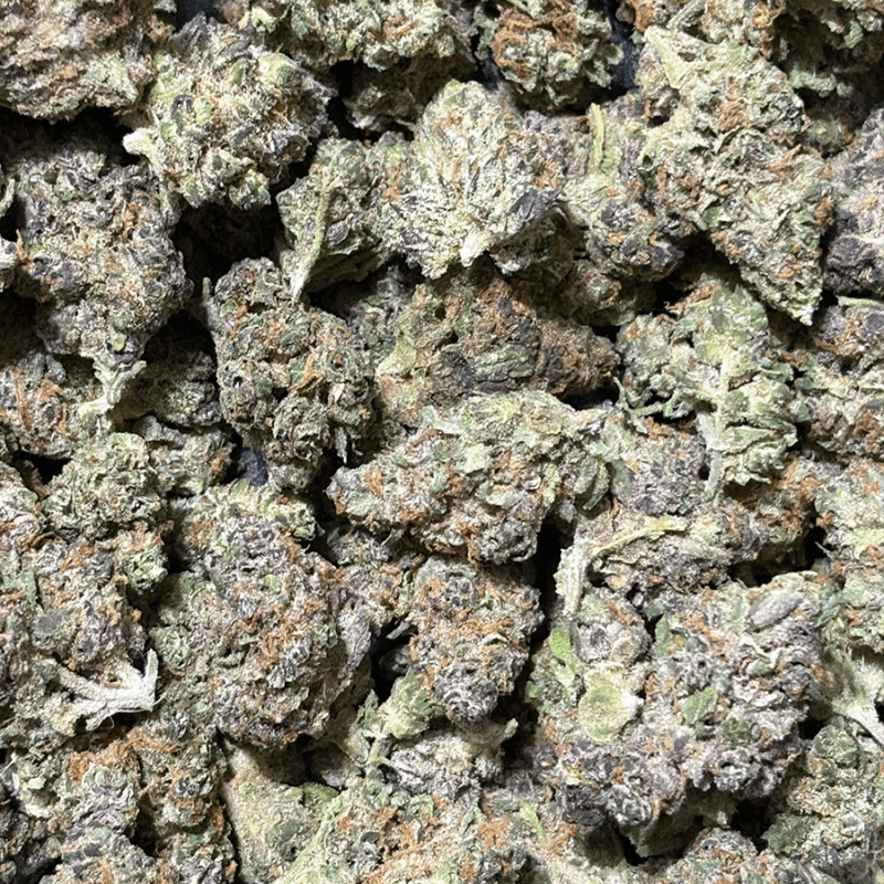 Pink Slurricane -PF