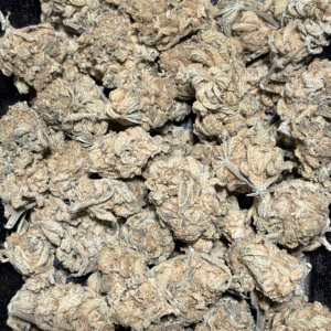 Tropic Thunder - Reg